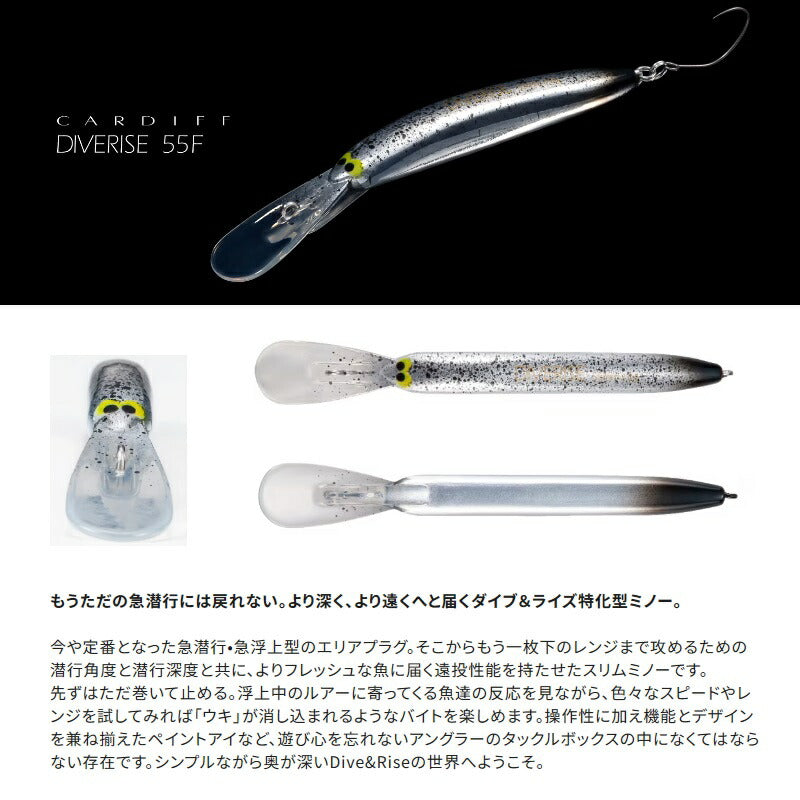 TR-255X カーディフ ダイバライズ 55F