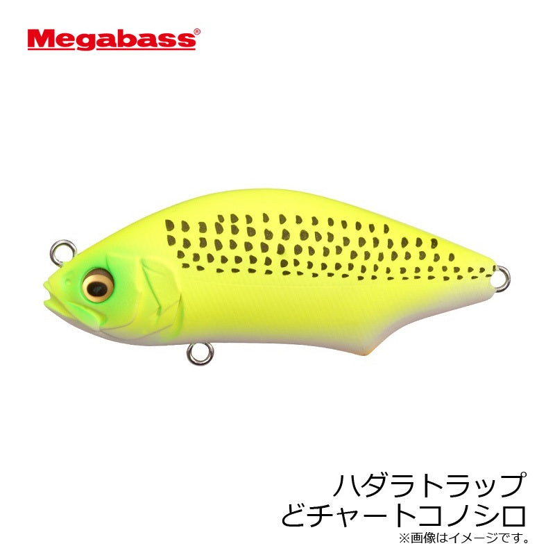ハダラトラップ