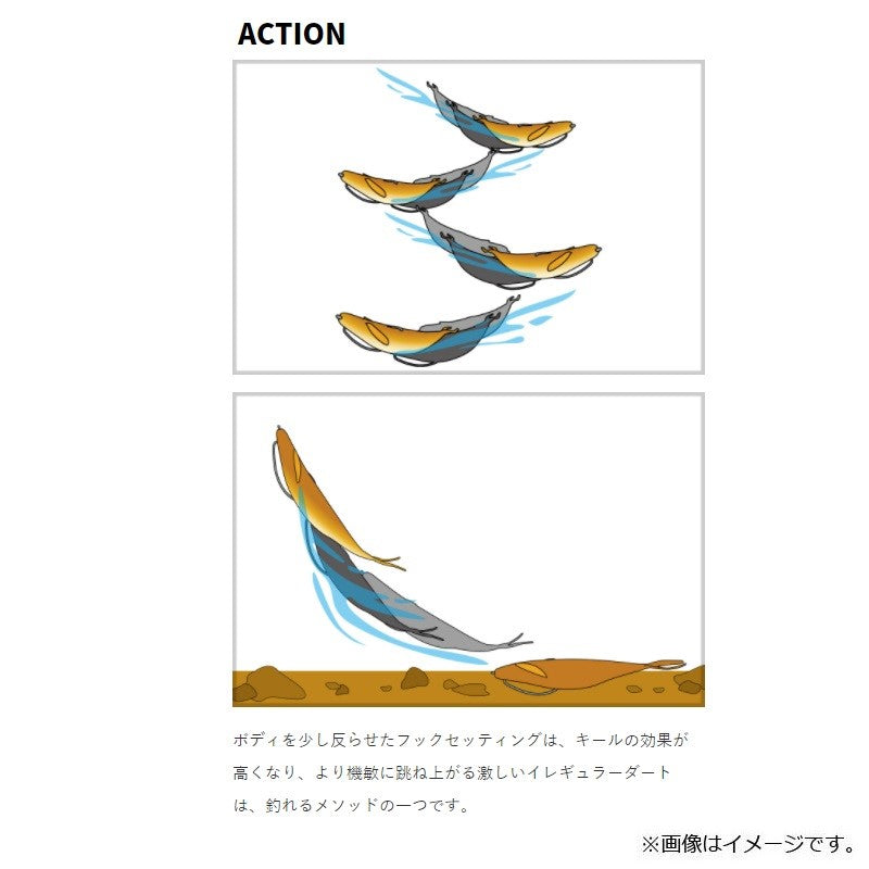 サカマタシャッド 6インチ