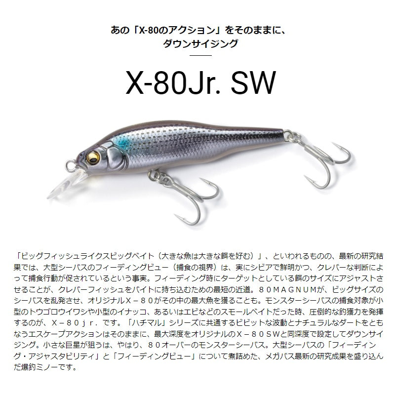 X-80 Jr. SW