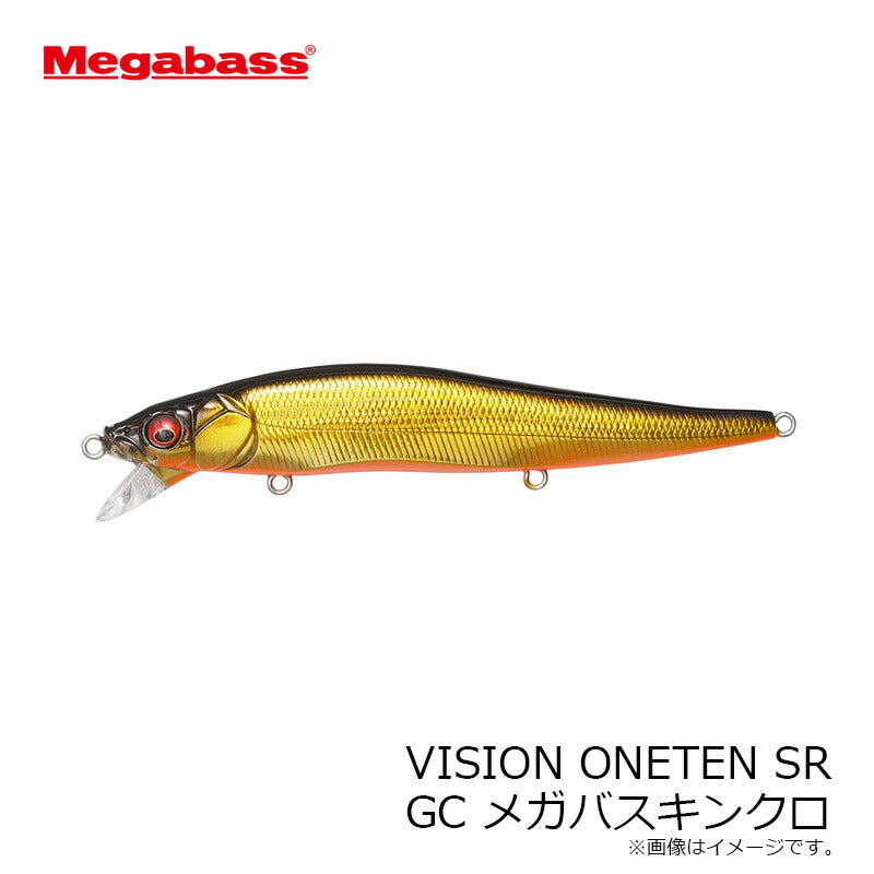 ビジョンワンテン SR