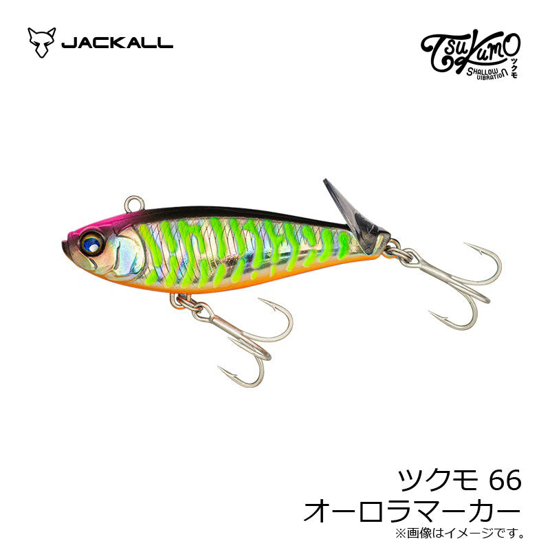 ツクモ66