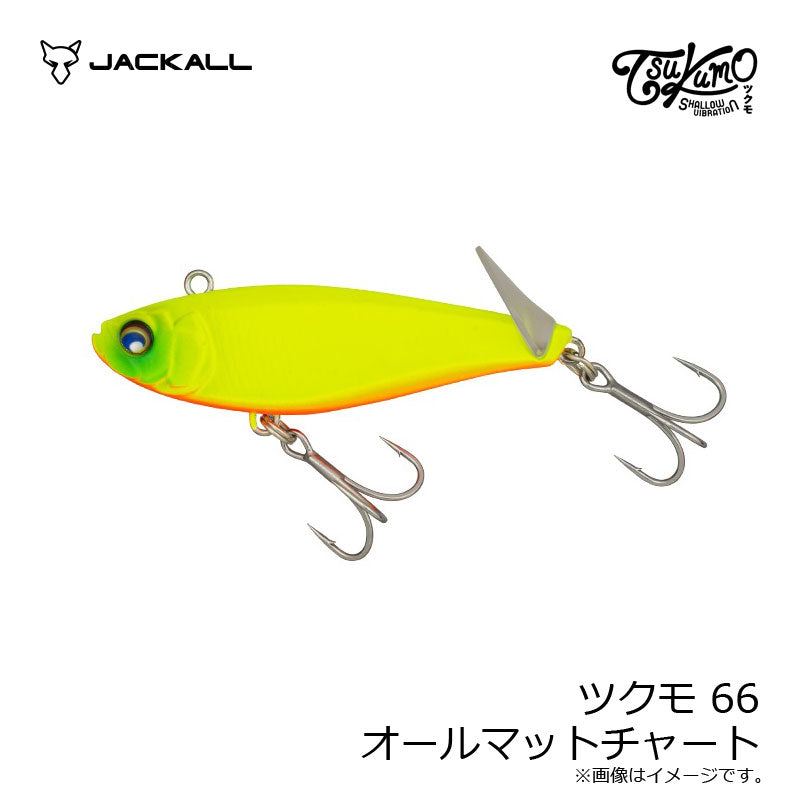 ツクモ66