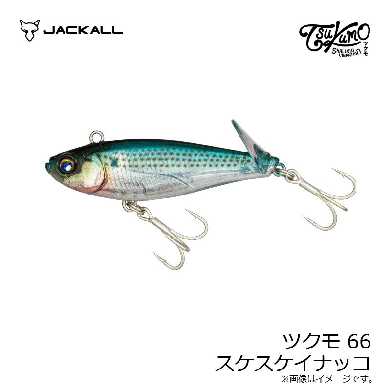 ツクモ66