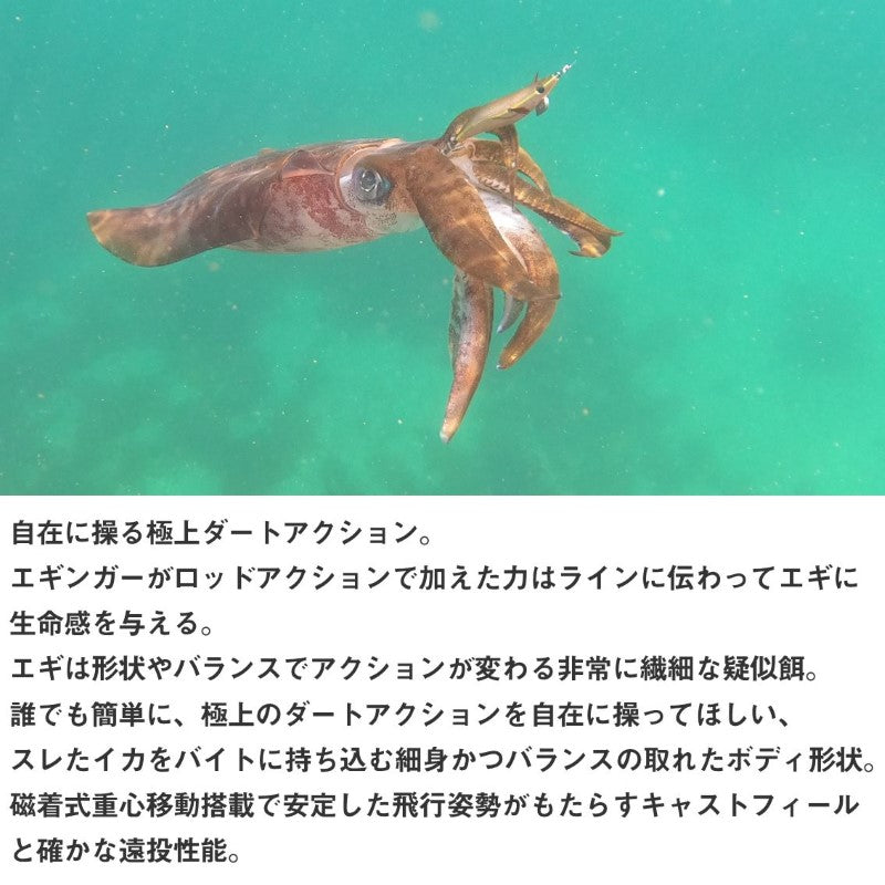 エメラルダス ダートLC 3.5号