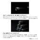 リボルテージ 2ピース RVII-S65UL/2