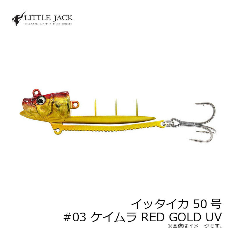 イッタイカ 50号