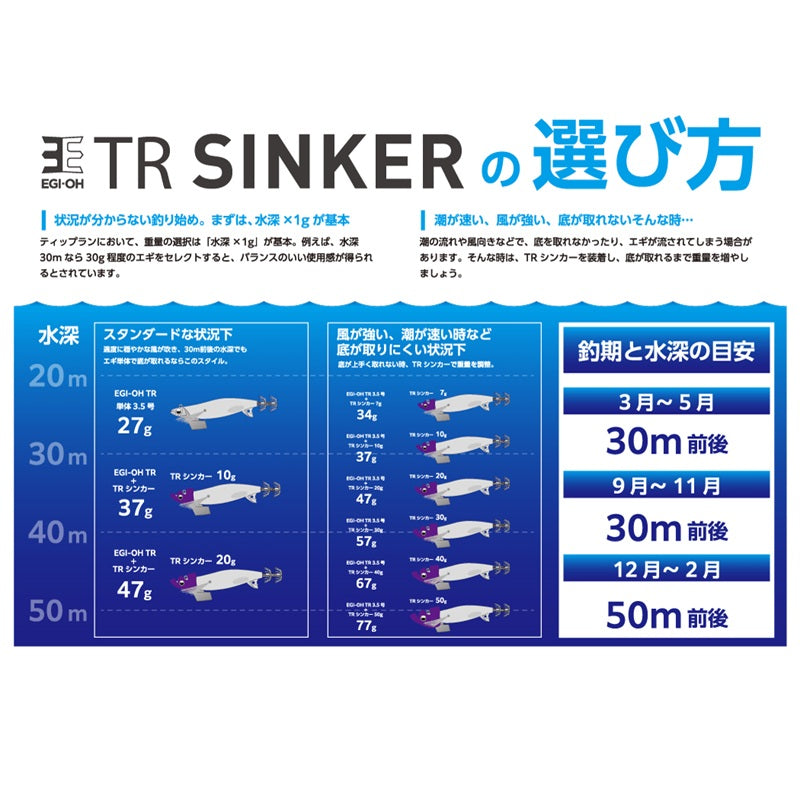 エギ王 TRシンカー 入門セット