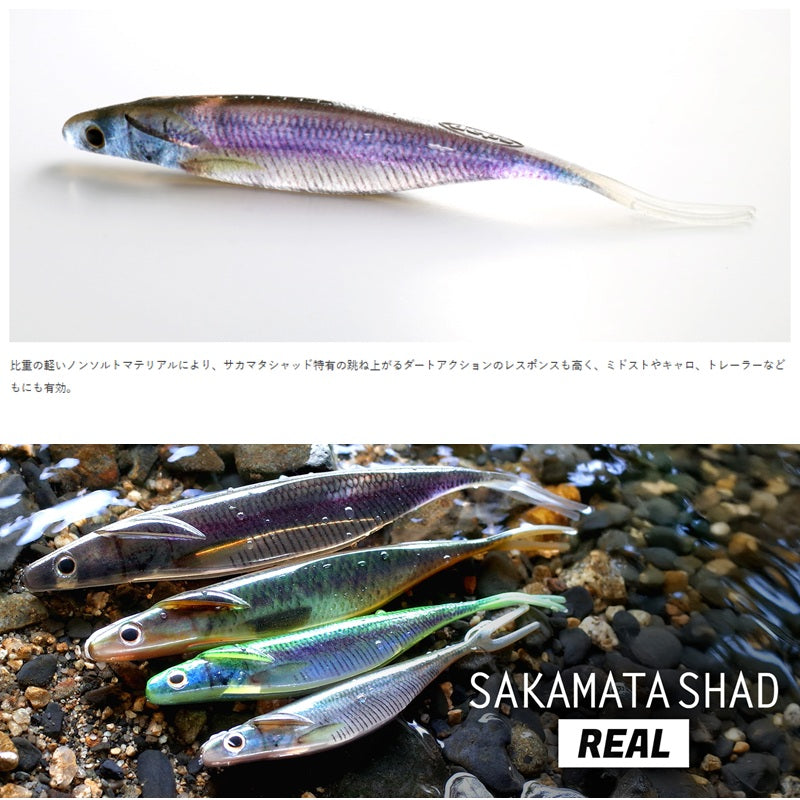 サカマタシャッド リアル ノンソルト 5インチ