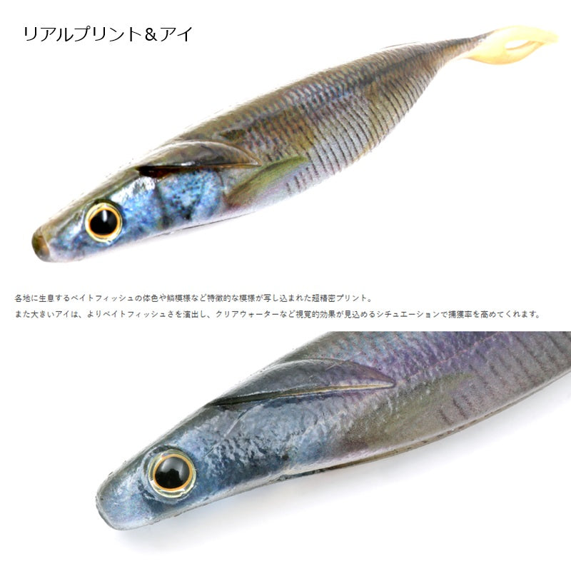 サカマタシャッド リアル ノンソルト 7インチ