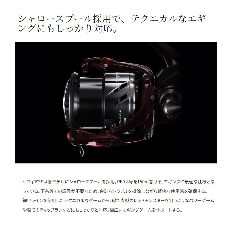 23 セフィアSS C3000SHG