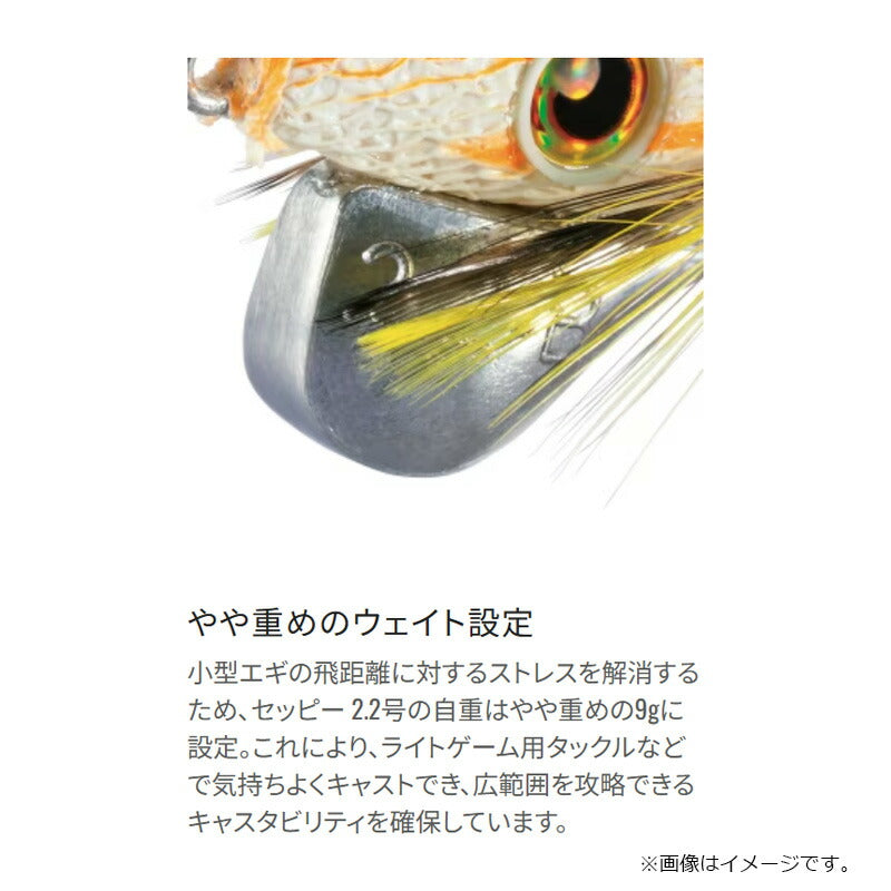 QE-C22Y セフィア セッピー 2.2号
