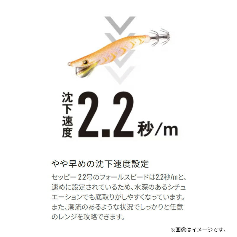 QE-Z22Y セフィア セッピー 2.2号 フラッシュブースト
