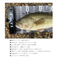 LE142 フィッシングメジャー ワイド 80cm
