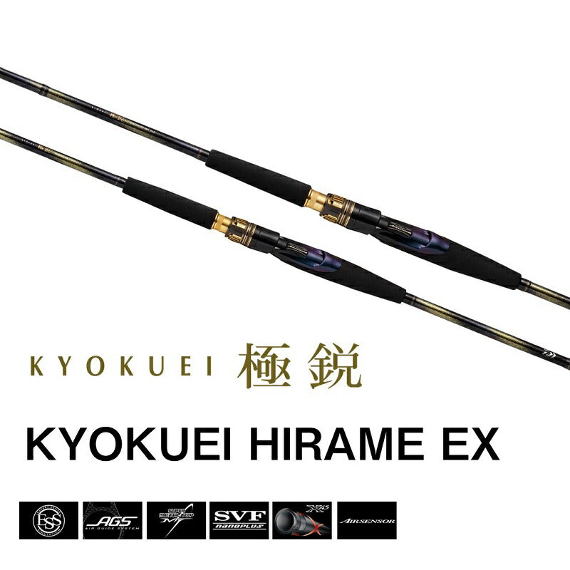 25 極鋭ヒラメEX SS/MH-245