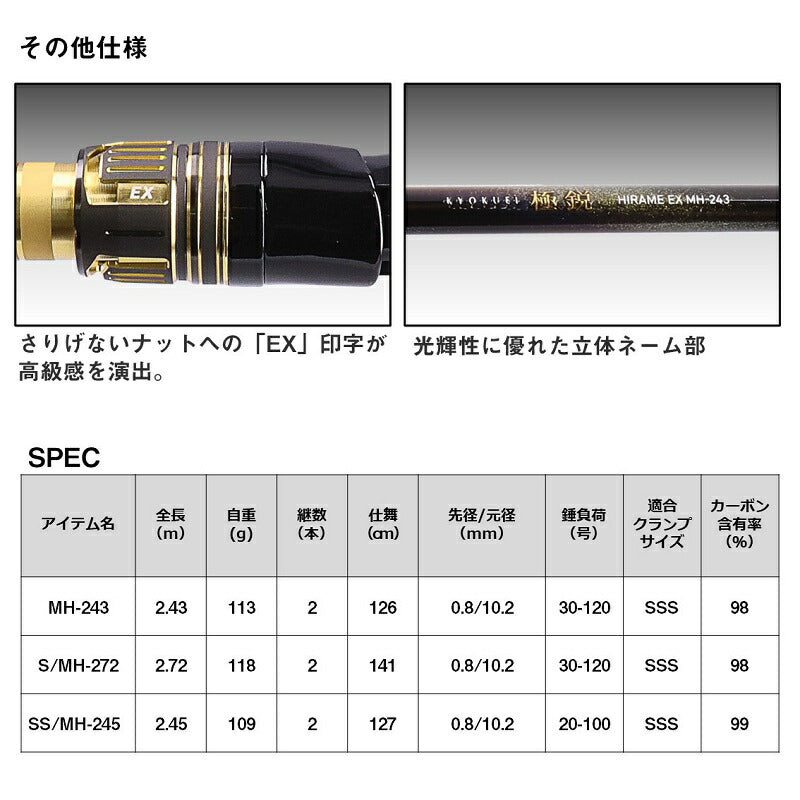 25 極鋭ヒラメEX SS/MH-245