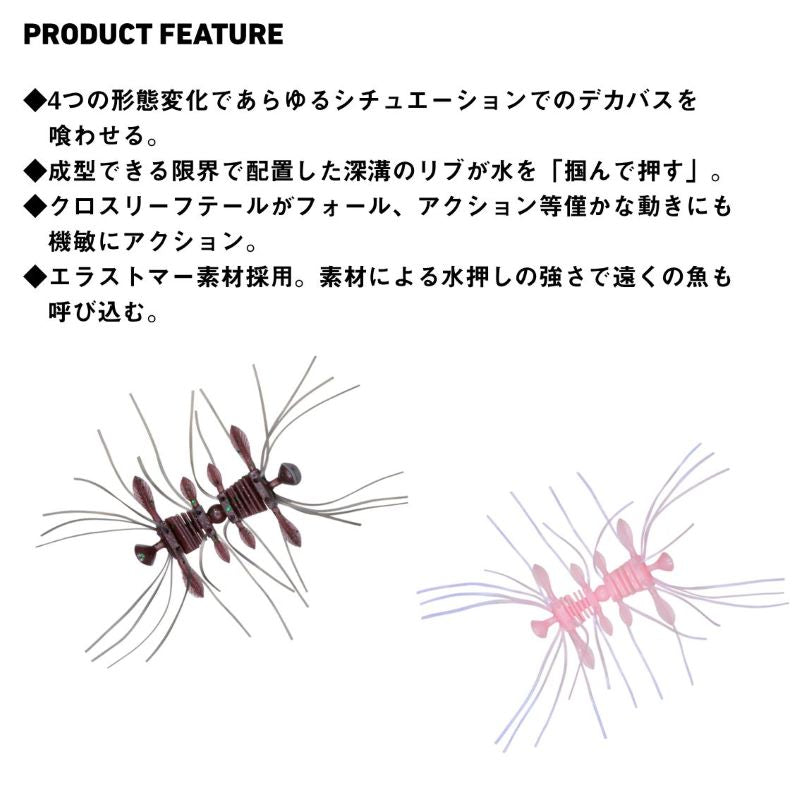 スティーズ クアッドフォーゼ