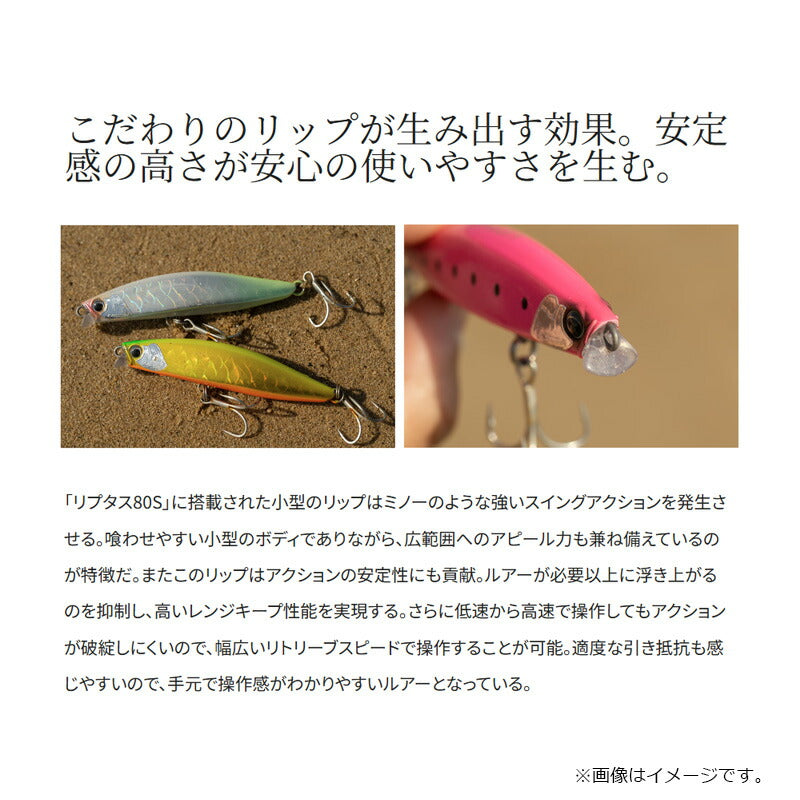 XG-R80Y 熱砂 リプタス 80S – つり具のBunBun.com
