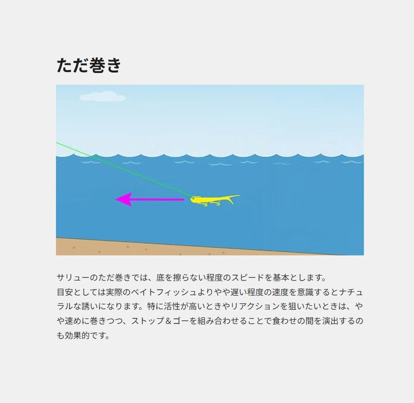 サリュー 30g