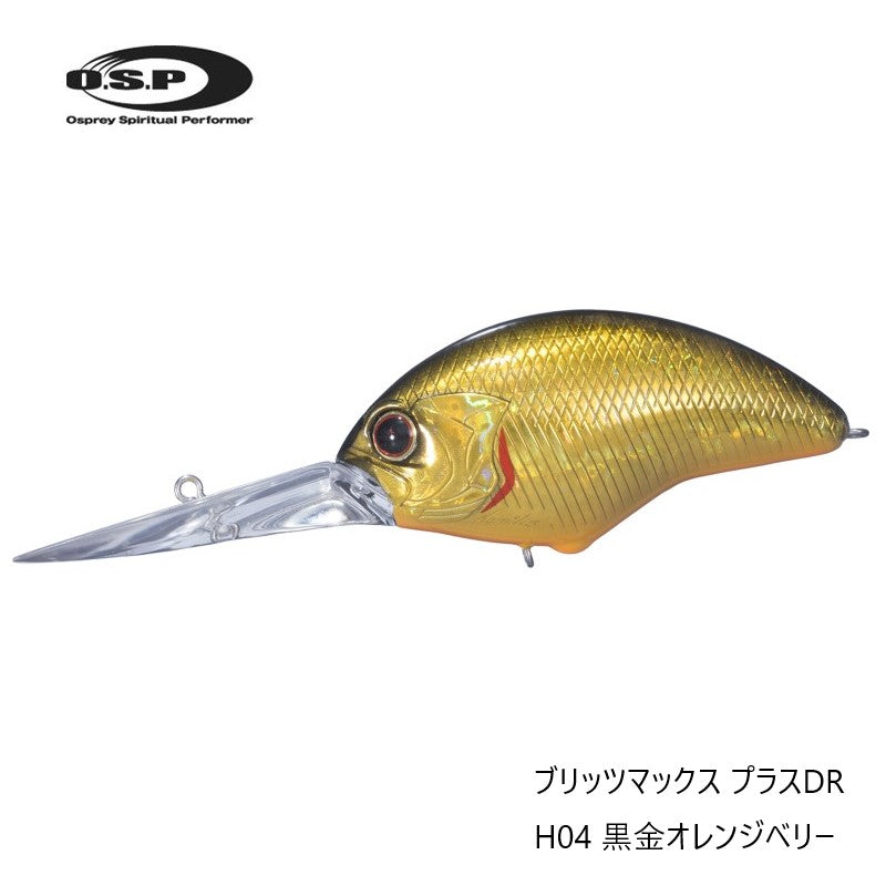 ブリッツマックス プラスDR