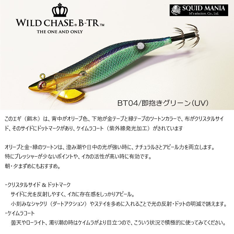 ワイルドチェイス B-TR 2.5号