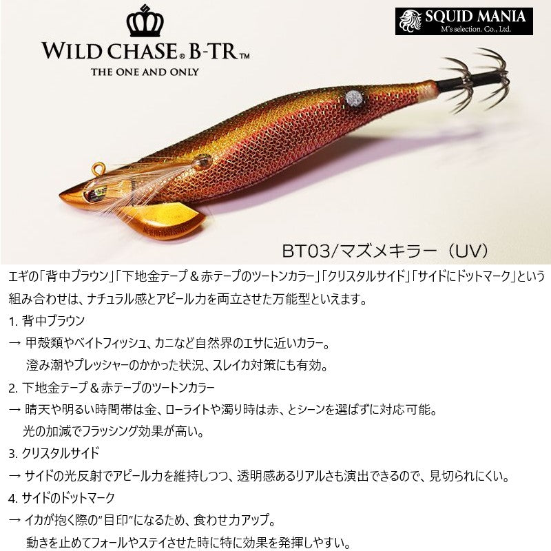 ワイルドチェイス B-TR 2.5号