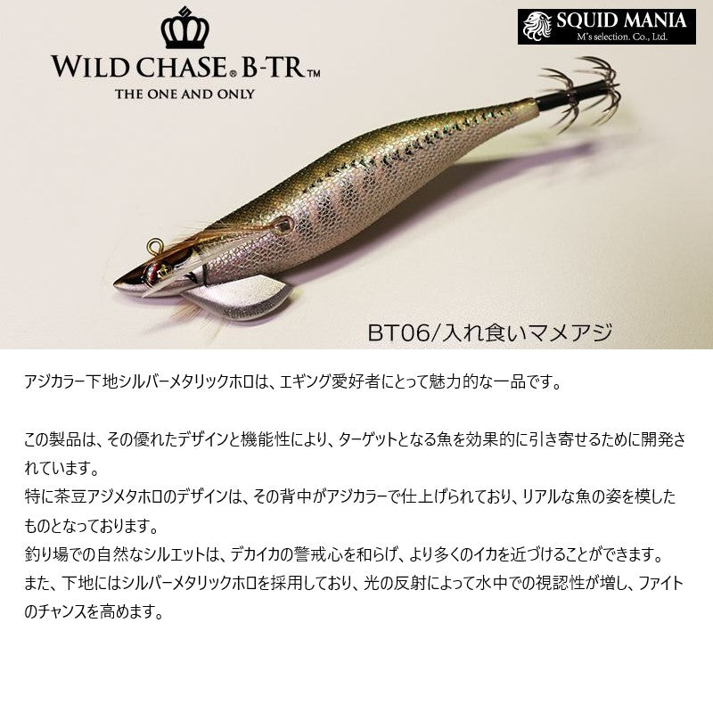 ワイルドチェイス B-TR 2.5号