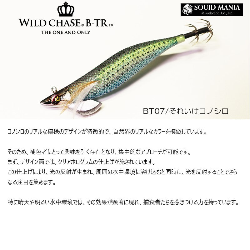 ワイルドチェイス B-TR 2.5号