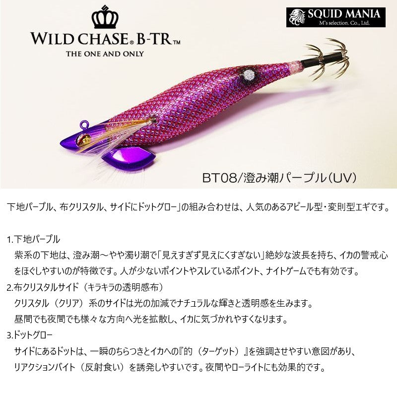 ワイルドチェイス B-TR 2.5号