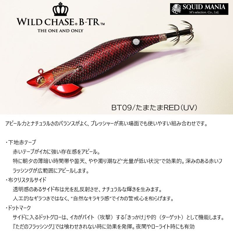 ワイルドチェイス B-TR 2.5号