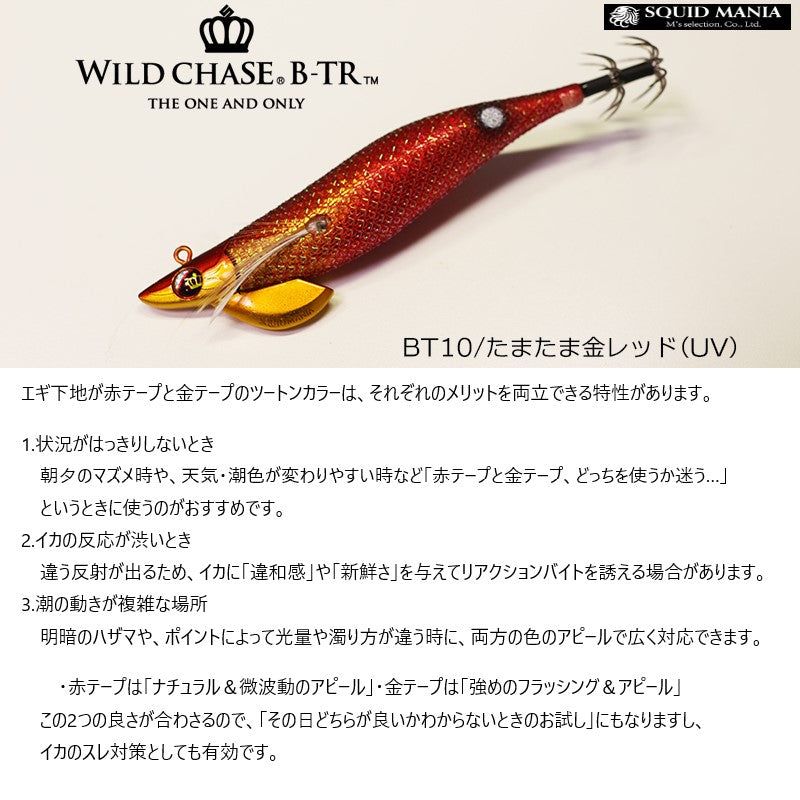 ワイルドチェイス B-TR 2.5号