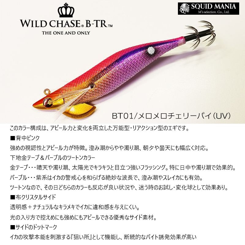 ワイルドチェイス B-TR 2.5号