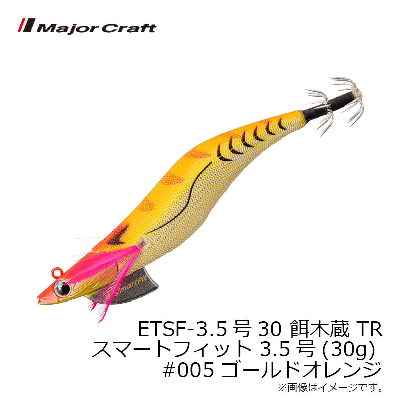 餌木蔵TR スマートフィット 3.5号-30g – つり具のBunBun.com