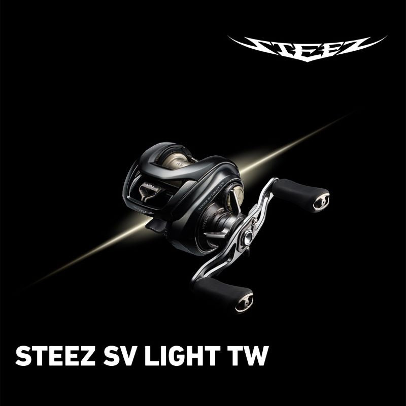 26 スティーズSV ライト TW 100HL / 左ハンドル