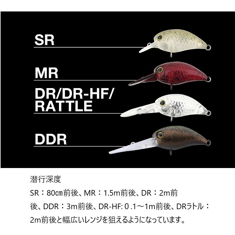 パニクラ´DDR