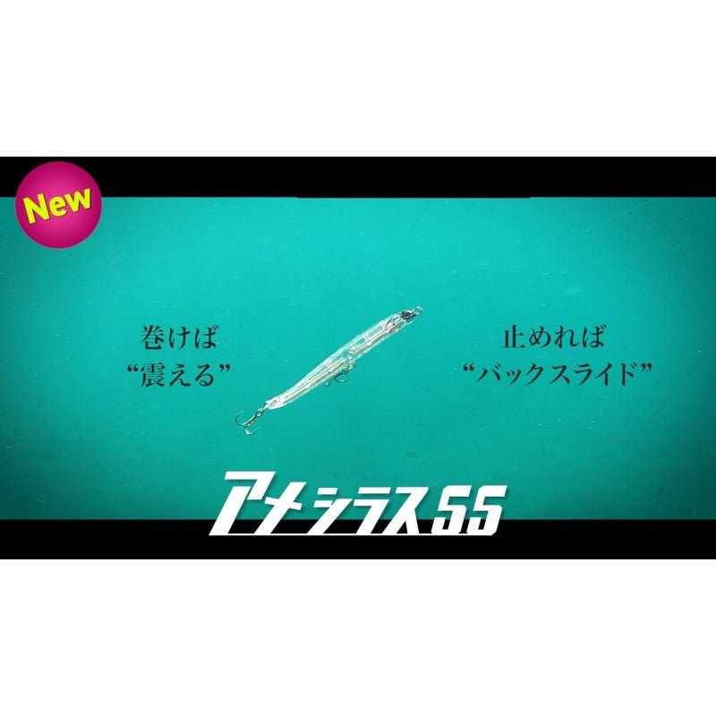 海太郎 アメシラス 55