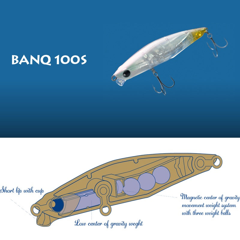 バンク BANQ100S