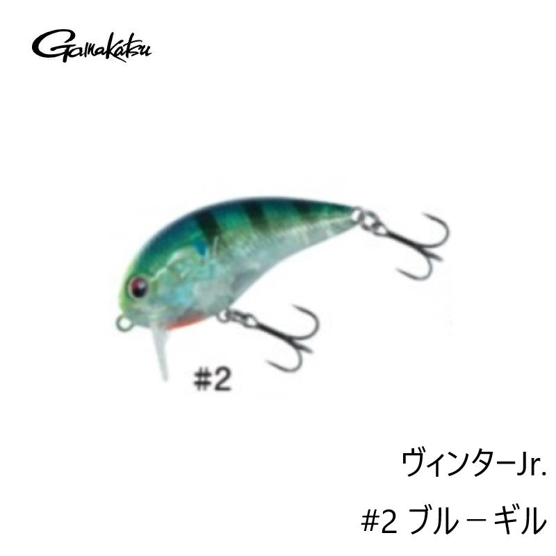 【在庫限り特価】 ヴィンター Jr.