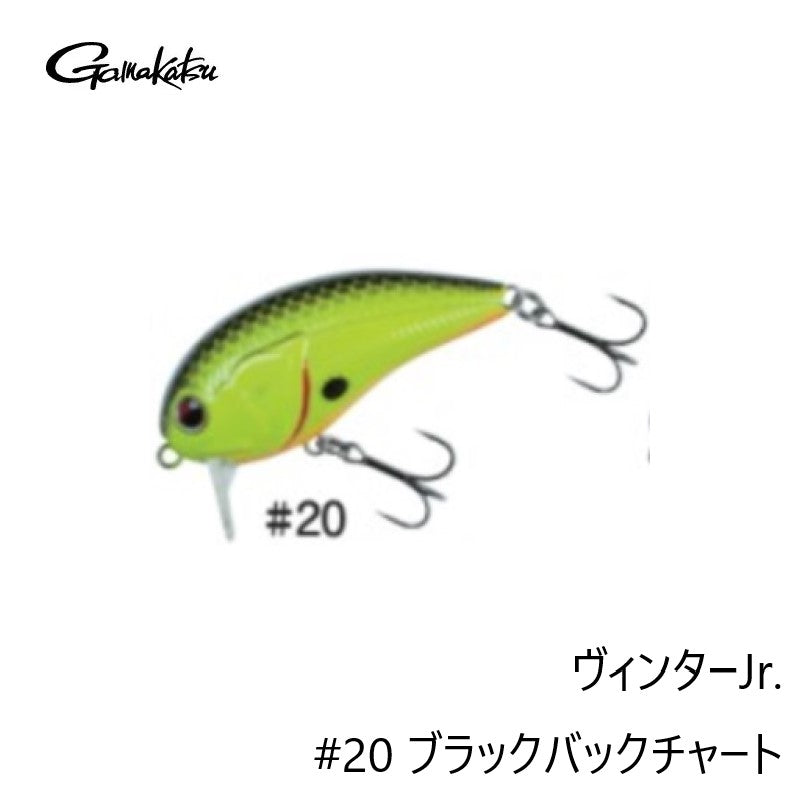 【在庫限り特価】 ヴィンター Jr.