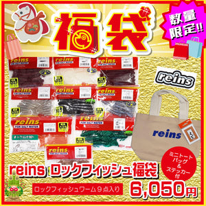 2026 福袋 レインズ ロックフィッシュ福袋 – つり具のBunBun.com