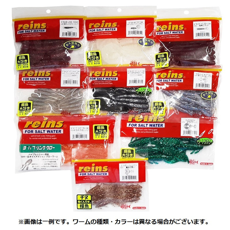 2026 福袋 レインズ ロックフィッシュ福袋