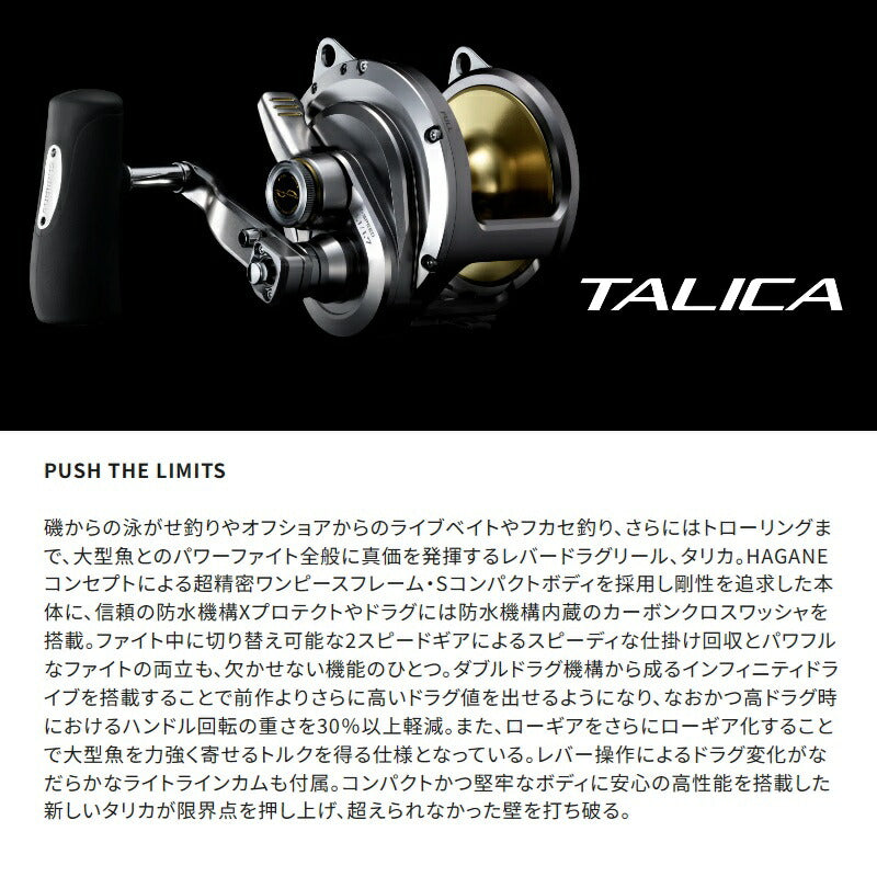 26 タリカ 40II