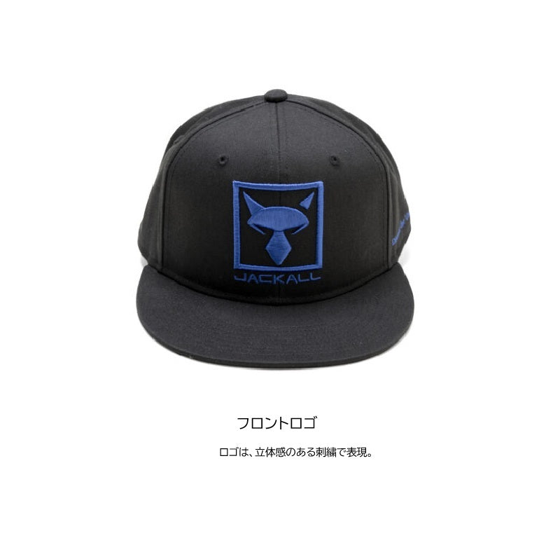 CA-B004 ビッグロゴキャップ F
