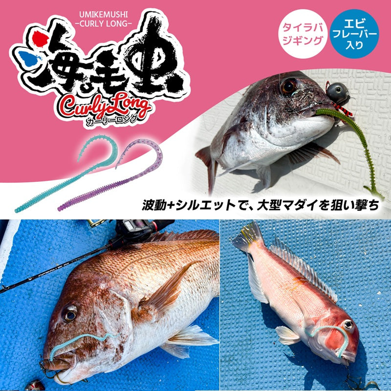 海毛虫カーリーロング
