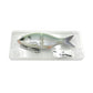 G-FLAG 150