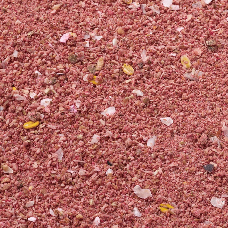 【九州・沖縄限定】Jチヌ