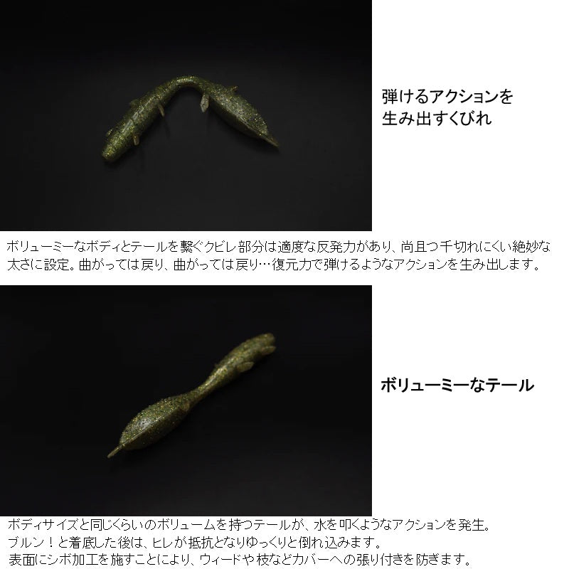 クビレウナギ 6インチ