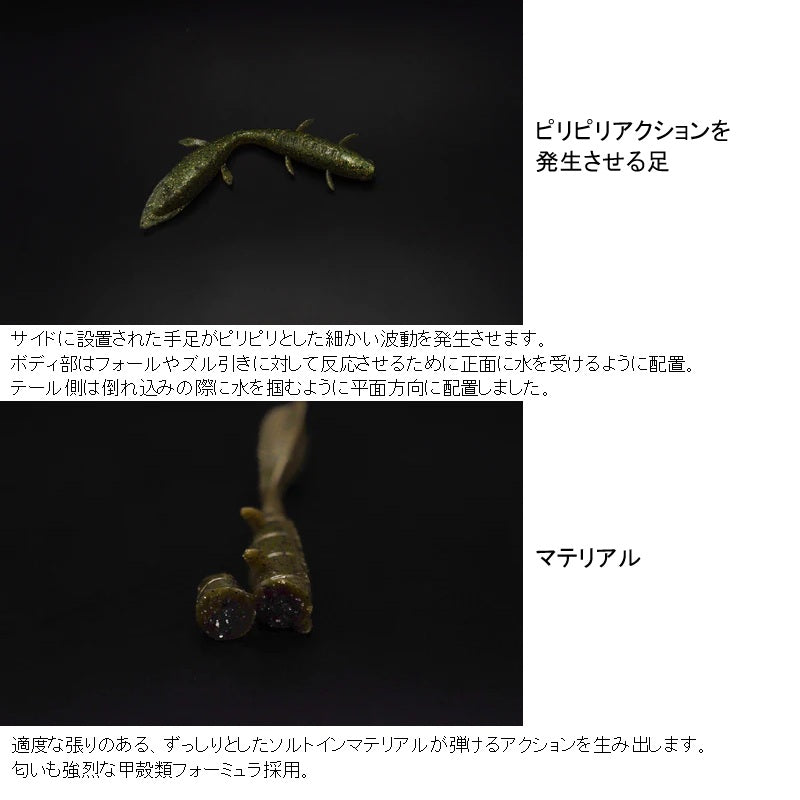 クビレウナギ 6インチ