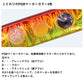 ヒメポンTG 40g