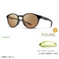 サーク POLARX Cirque Tortoise X-Light Green 37 Hard & Multi-Coat